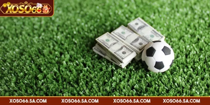 Cá cược thể thao XOSO66 uy tín với nhiều giấy phép quốc tế